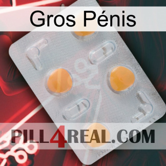 Gros Pénis 24